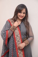 Madhavi Latha Gallery